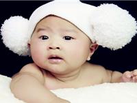 分析狮子座宝宝