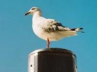 什么类型的生活格调不适合你