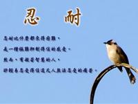 十二星座忍耐后的表现