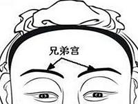 不同主星的兄弟宫命运