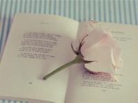 中考前的摩羯座