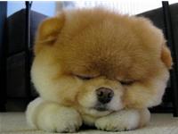 天秤座衰老的表现