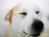 D调塔罗一周星座运势（5.25—5.31）