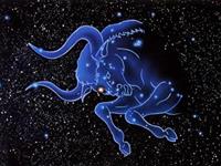 总爱惦记前任的星座