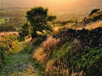 Julia Chen 2015年6月金牛座运势