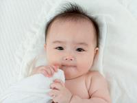 羊年宝宝取名的忌用部首