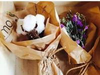 熊神进一周生肖运势（6.29-7.5）