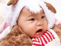 羊宝宝五行缺木