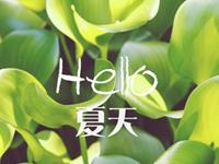 夏日生肖改运小诀窍