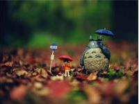 初恋对你的恋爱影响有多深