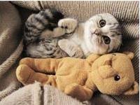 你在别人眼里是逗逼？