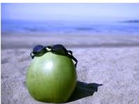 这个夏天你会有什么好事发生