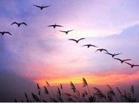 从休息日看你事业成功率