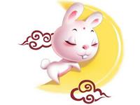 属兔的人2016猴年运势详解