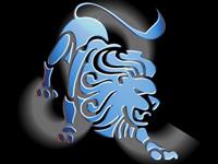 送给狮子座老师的礼物