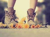 为什么你还是单身狗