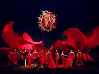 12星座遇见偶像的时候！