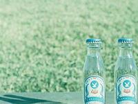 山水清澈2015年9月12生肖运程