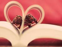 在爱情里你不能忍的委屈是什么