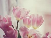 你需要学习哪种技能