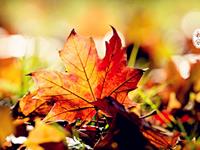 9月23日秋分与星象的关系