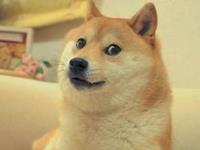 盘点那些容易惹人厌的生肖