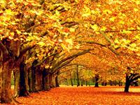 金秋十月，白羊座会收获什么