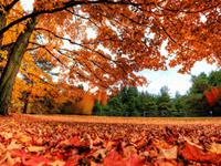 金秋十月，天蝎座会收获什么