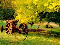 金秋十月，水瓶座会收获什么