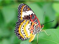 一场旅游带你看清天秤座