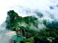 如果12星座归隐山林