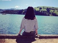 11月生肖近况大预测