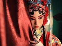 玩迷宫走出你的职业