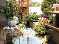 想招财试试阳台植物这样布置