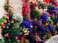 测出你身边的情敌