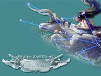 金牛座如何在双11终结孤单