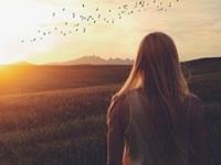 Miss A Tarot心灵塔罗周运（11.10-11.16）