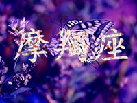 摩羯女会因为什么变成女强人