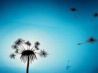 测试你的挫折感与自卑感