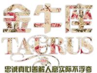 金牛座最容易被什么细节打动