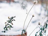 生肖蛇小雪养生开运指南