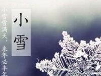 生肖狗小雪养生开运指南