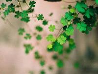 塔罗占卜最适合你职业