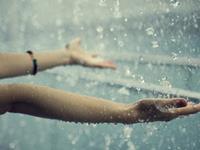 郑博士2016年属龙的运势