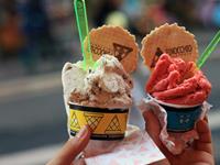 郑博士2016年属马的运势