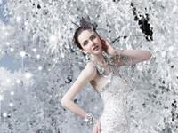 柒爸2015年12月天蝎座运势