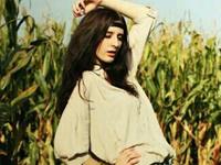 苏民峰2016年生肖虎运势