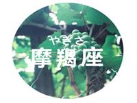 摩羯座如何处理年末带来的压力