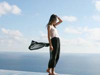 熊神进2016年猴年羊生肖运程