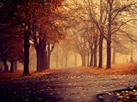 12星座年老时会有哪些遗憾